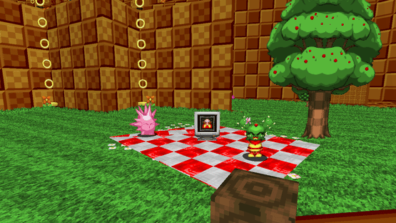 Sonic Robo Blast 2: Cacee "Kiwi" Cactus Screenshot