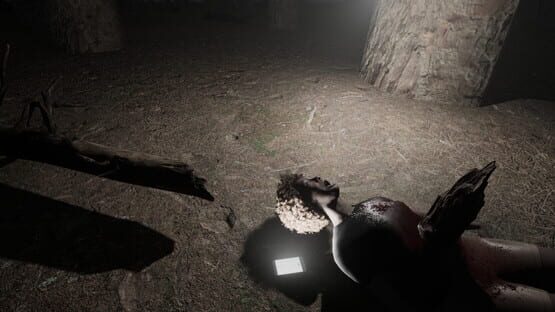 screenshot 22