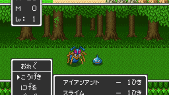 Dragon Quest II Screenshot