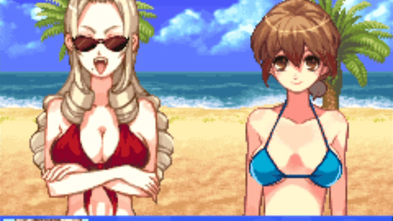 Beach Volleyball Girl Shizuku 2: Hishou-Hen Screenshot