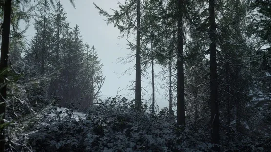 Thorgal screenshot 3