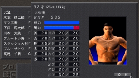 Pro Wrestling Sengokuden Screenshot