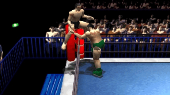 Pro Wrestling Sengokuden Screenshot