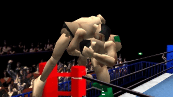 Pro Wrestling Sengokuden Screenshot