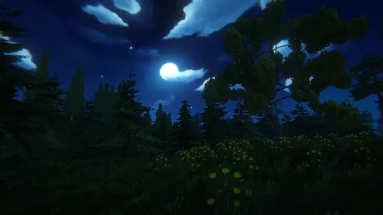 Thumbnail 13