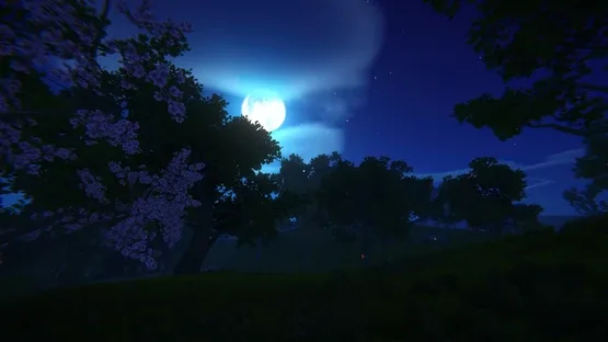 Thumbnail 24