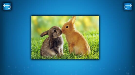 PUZZLE: ANIMALS screenshot 2
