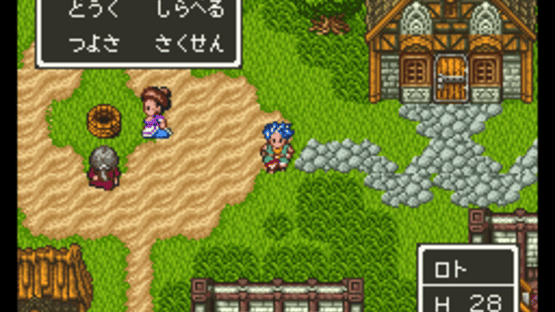 Dragon Quest VI: Maboroshi no Daichi Screenshot