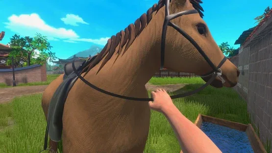 Thumbnail 13
