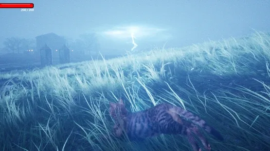 CozyCat Simulator screenshot 6