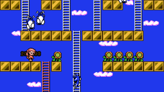 Rod-Land Screenshot