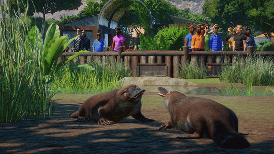 Planet Zoo: Console Edition - Deluxe Edition Screenshot