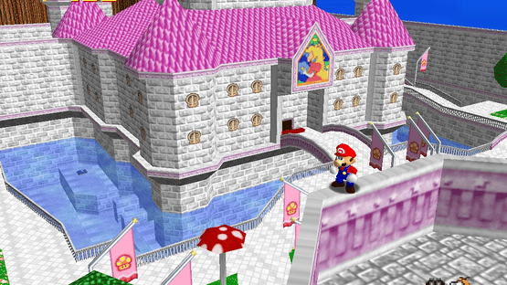 SM64: Decades Later Screenshot