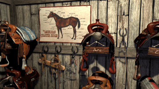 Nancy Drew: The Secret of Shadow Ranch Screenshot