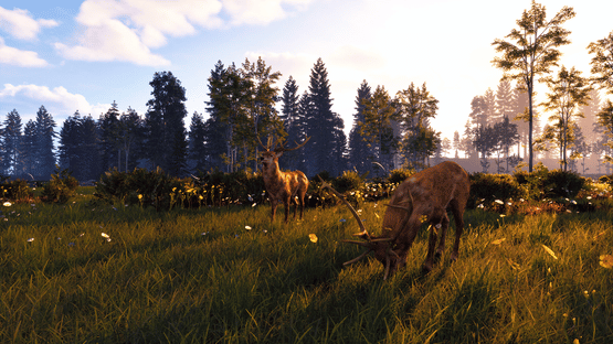 Windstorm: Start of a Great Friendship - Remastered Screenshot