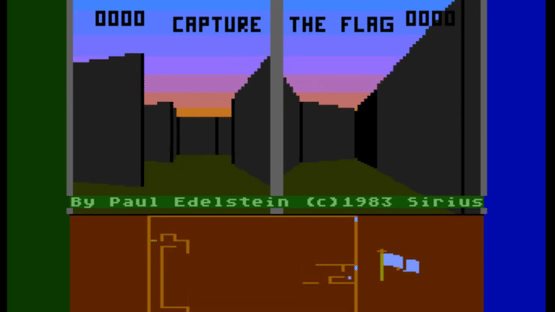 Capture the Flag Screenshot