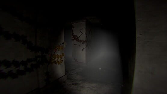 Thumbnail 26