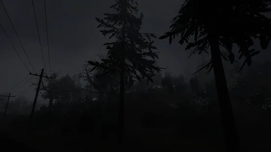 Thumbnail 26