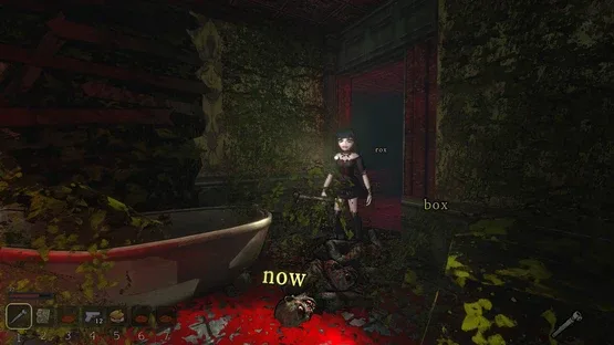 Thumbnail 12