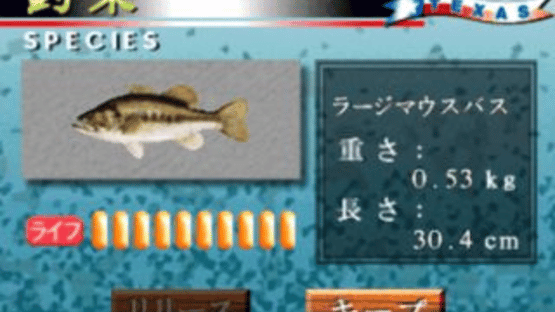 Bass Fisherman Screenshot