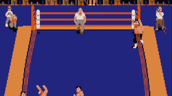 Tag Team Wrestling Screenshot