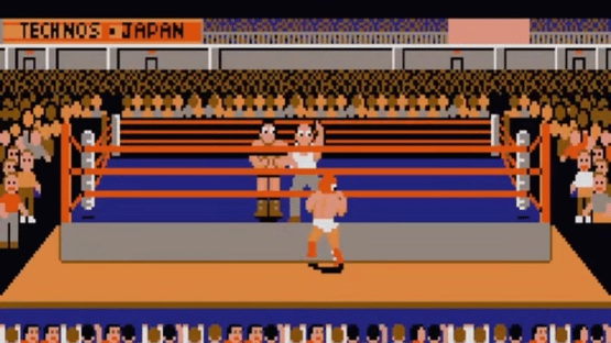 Tag Team Wrestling Screenshot