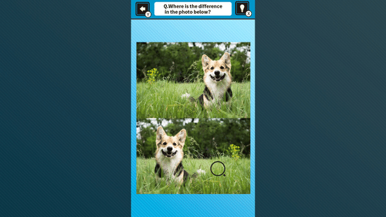 Train Your Brain! Spot the Difference with Dog Photos Screenshot