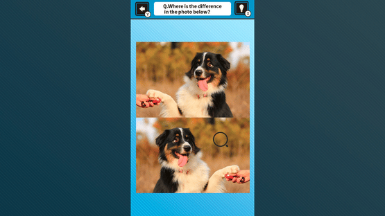 Train Your Brain! Spot the Difference with Dog Photos Screenshot