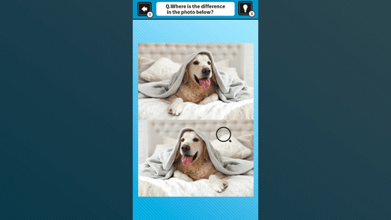 Train Your Brain! Spot the Difference with Dog Photos Screenshot