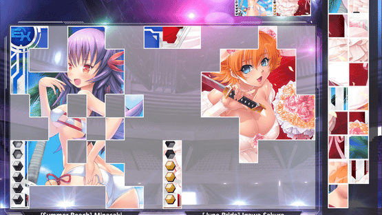 Taimanin Collection: Battle Arena Screenshot