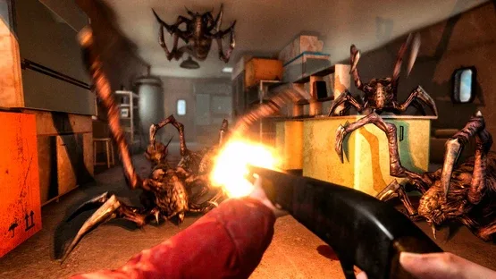 Thumbnail 12