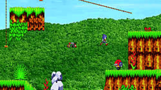 Sonic on Angel Island Screenshot