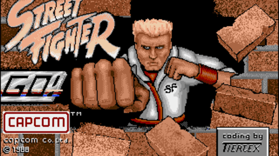 Street Fighter Screenshot