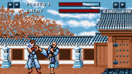 Street Fighter Screenshot