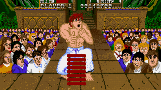 Street Fighter Screenshot