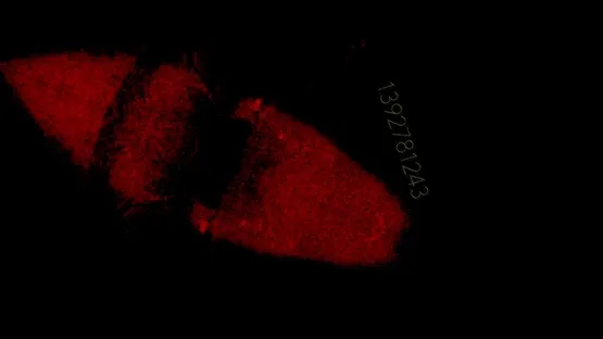 Precognition screenshot 2