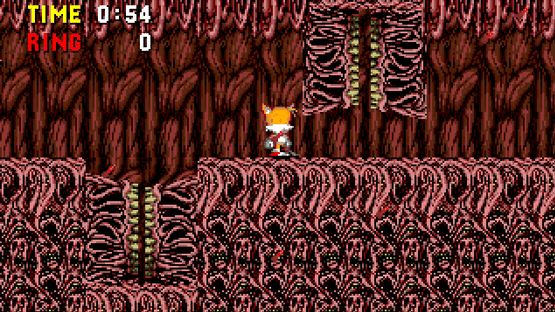 Sonic PC Port Remake Screenshot