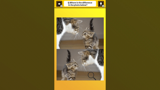 Train Your Brain! Spot the Difference with Cat Photos Screenshot