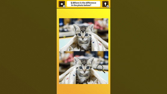 Train Your Brain! Spot the Difference with Cat Photos Screenshot