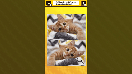 Train Your Brain! Spot the Difference with Cat Photos Screenshot