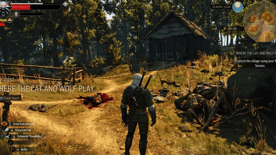 The Witcher 3: Wild Hunt - New Quest 'Where the Cat and Wolf Play...' Screenshot