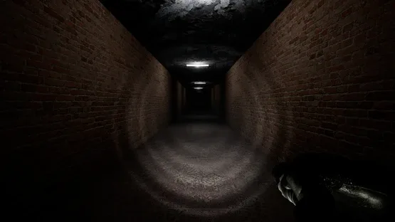 Thumbnail 13