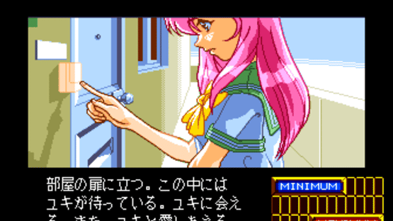 Shinsetsu Shiawase Usagi 2 Screenshot