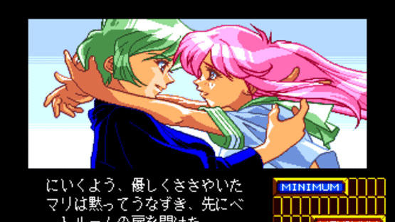 Shinsetsu Shiawase Usagi 2 Screenshot