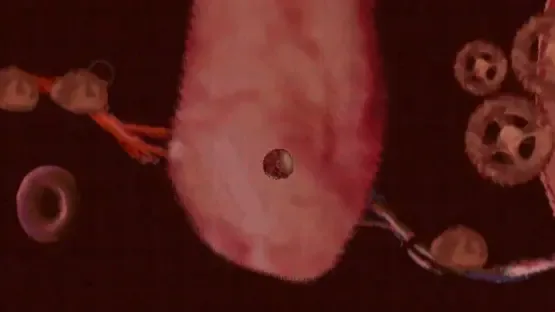 Blockage screenshot 1