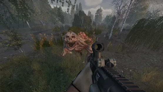 Thumbnail 18