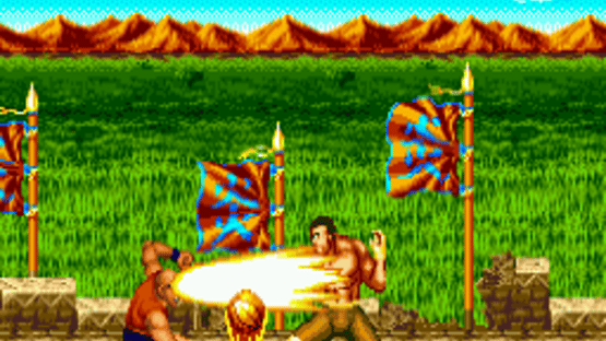 Top Fighter 2000 MK VIII Screenshot