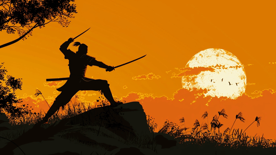 Robin Hood: Shogun Samurai Screenshot