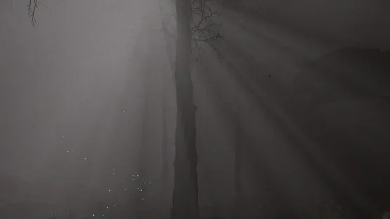 Tempus Triad screenshot 4
