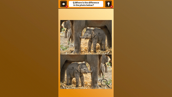 Train Your Brain! Spot the Difference with Animal Kids Photos Screenshot